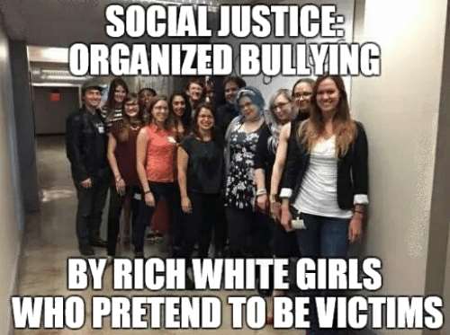 Social Justice: organised bullying_by rich_white girls who pretend to be victims.jpg