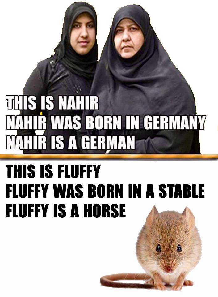 This is Nahir Nahir was born in Germany Nahir is German.