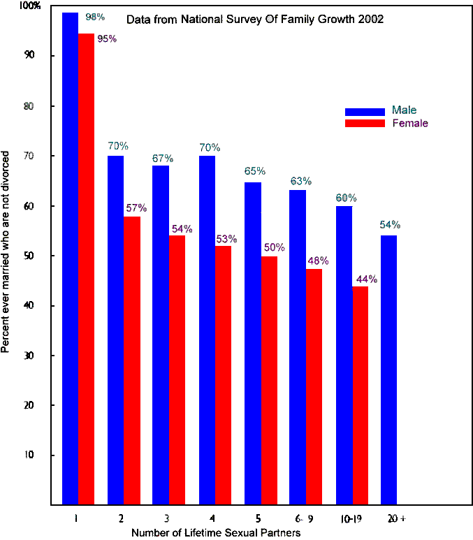Number of sexual parners and its influence on marriage stability.